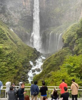 From Tokyo Fully Customized NIKKO Private Day Tour with English speaking driver Hotel Pickup