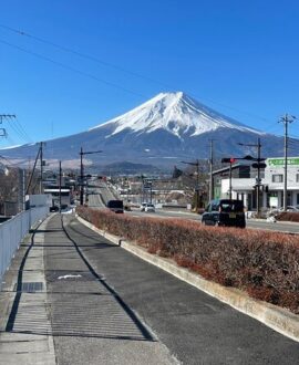 From Tokyo Fully Customised MOUNT FUJI Private Day Tour with English speaking driver Hotel Pickup