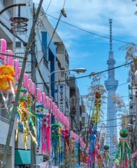 Cultural & Historical Experiences
