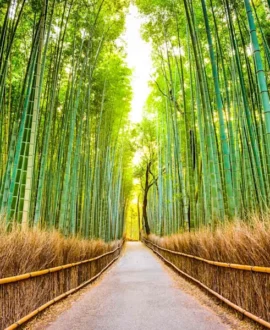 Nature & Scenic Adventures