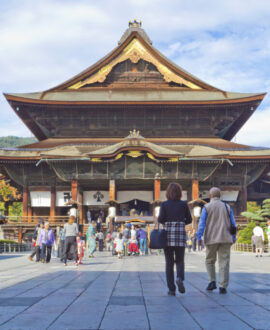 From Tokyo Fully Customised NAGANO Private Day Tour with English speaking driver Hotel Pickup