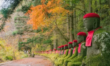 nikko