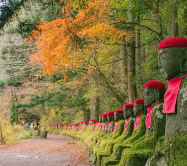nikko