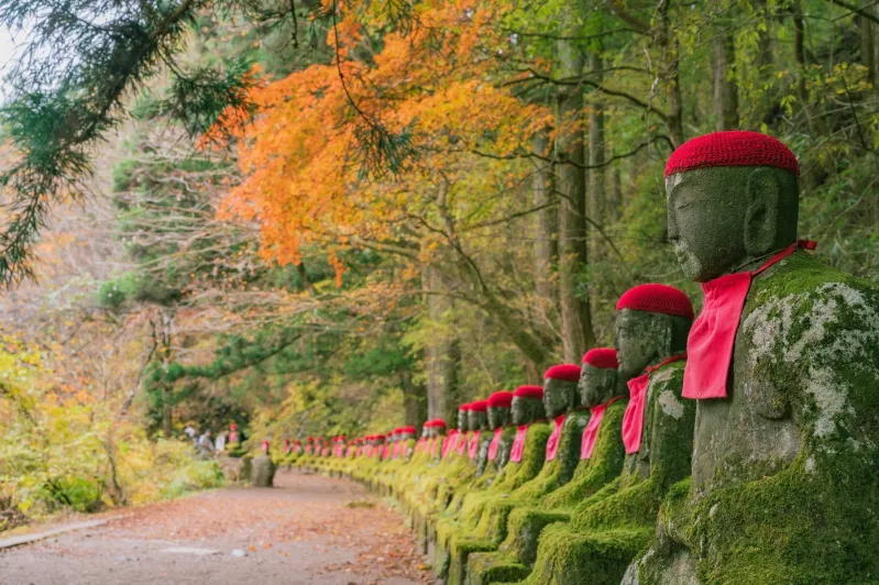 nikko