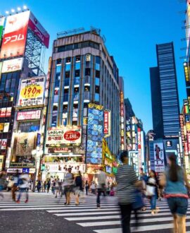From Tokyo Fully Customised TOKYO Private Day Tour with English speaking driver Hotel Pickup